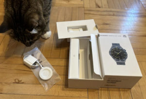 Комплектация Huawei Watch GT 3 SE